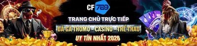 プロフィール｜cf789zlibrarynl