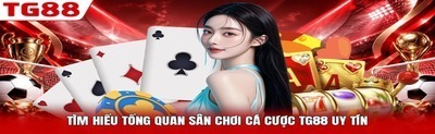 プロフィール｜TG88