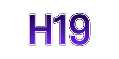 ヘッダー画像｜H19life