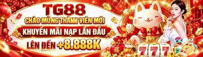 ヘッダー画像｜tg8889net