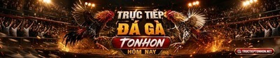 ヘッダー画像｜Trực Tiếp Tonhon