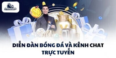 プロフィール｜tylebongdafan