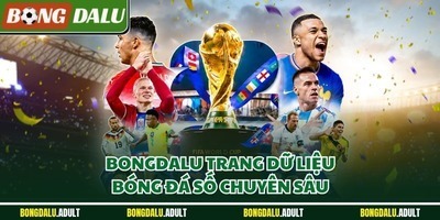 プロフィール｜Bongdalu