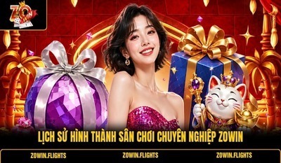 プロフィール｜zowinflights