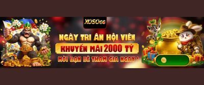 プロフィール｜xoso66cat 