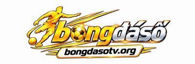 ヘッダー画像｜Bongdaso