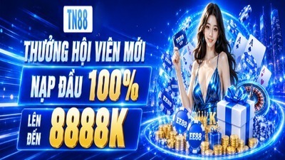 ヘッダー画像｜Tn88casino