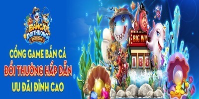 プロフィール｜Bắn Cá Đổi Thưởng VN