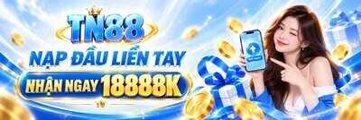 ヘッダー画像｜tn88today